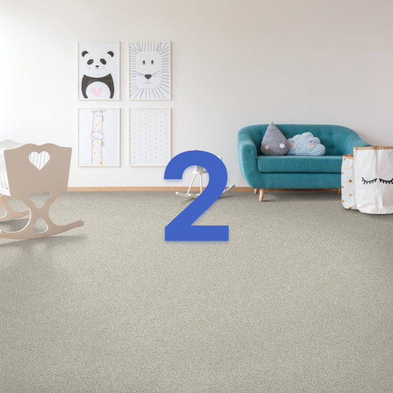 Carpet from Floors USA