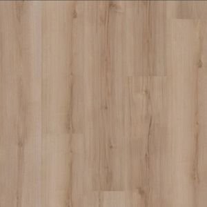 Lucent Oak