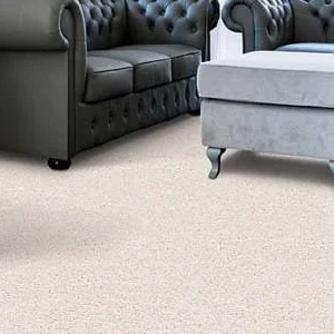 Not So Fast, Carpet Is Coming Back!