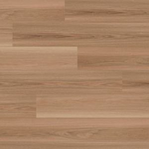 Saddle Oak